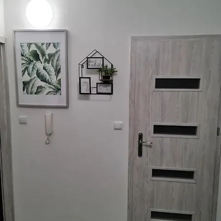 Apartament Nova Przy S3 Nowa Sol Exterior foto